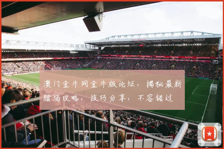 澳门金牛网金牛版论坛，揭秘最新赌场攻略，技巧分享，不容错过